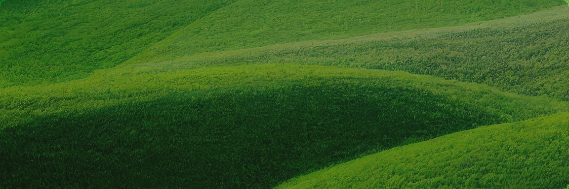 mg不朽情缘(中国)官方网站