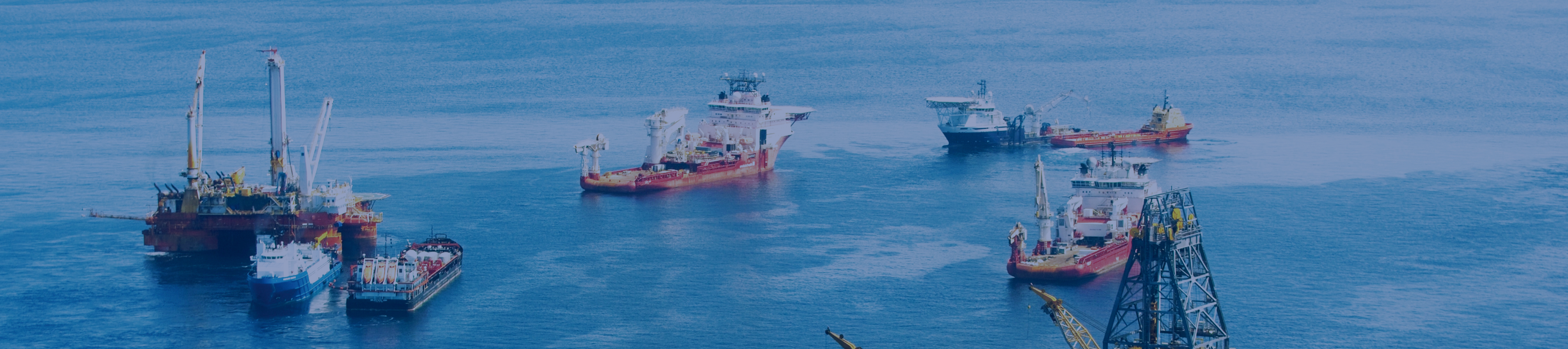 mg不朽情缘(中国)官方网站