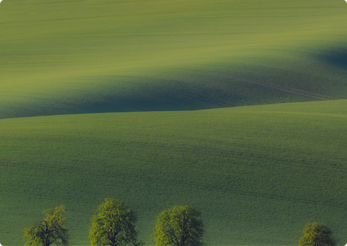 mg不朽情缘(中国)官方网站